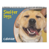 Shelter Dogs Calendar Kalender (Hoes)