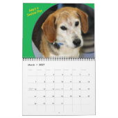 Shelter Dogs Calendar Kalender (Mar 2027)