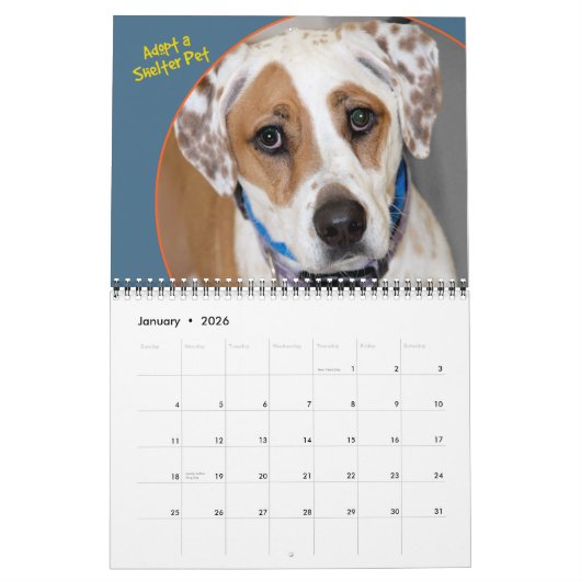 Shelter Dogs Calendar Kalender (Jan 2026)