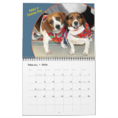 Shelter Dogs Calendar Kalender (Feb 2026)