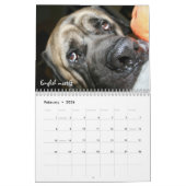 Shelter Dogs Calendar Kalender (Feb 2026)