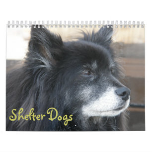 Shelter Dogs Calendar Kalender