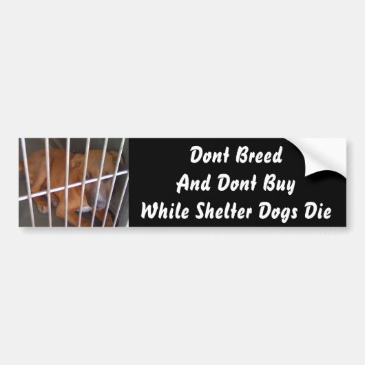 Shelter Dogs Die Bumpersticker (Voorkant)