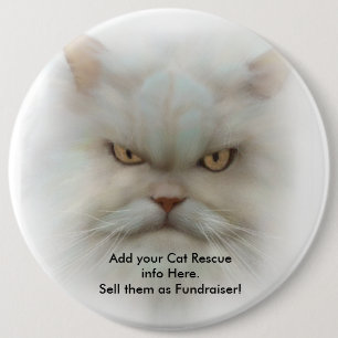 SHELTER FUNDRAISER KOLOSSALE 6 inch Cat Button Pin
