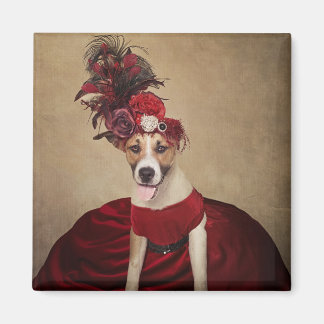 Shelter Huisdieren Project - Baby Meisje Magneet