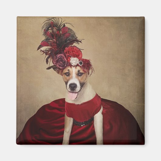 Shelter Huisdieren Project - Baby Meisje Magneet (Voorkant)