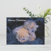 Shelter kittens bedankkaart (Staand voorkant)