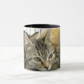 Shelter Kittens Mok (Midden)