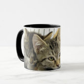 Shelter Kittens Mok (Voorkant links)