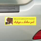 Shelter Pet, Shelter Dog, Shelter Cat Bumpersticker (Op auto)