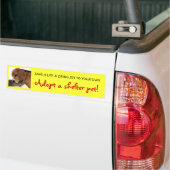 Shelter Pet, Shelter Dog, Shelter Cat Bumpersticker (Op Truck)