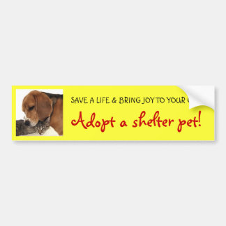 Shelter Pet, Shelter Dog, Shelter Cat Bumpersticker