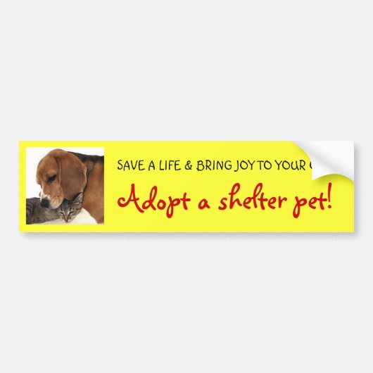 Shelter Pet, Shelter Dog, Shelter Cat Bumpersticker (Voorkant)