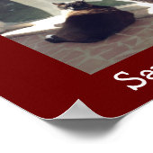 Shelter Pets aannemen Poster (Hoek)