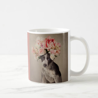 Shelter Pets Project - april Koffiemok