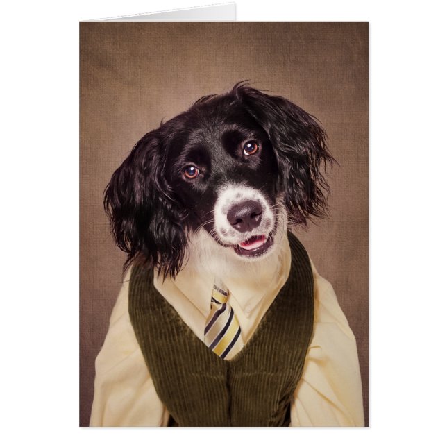 Shelter Pets Project - Cannonball (Voorkant)