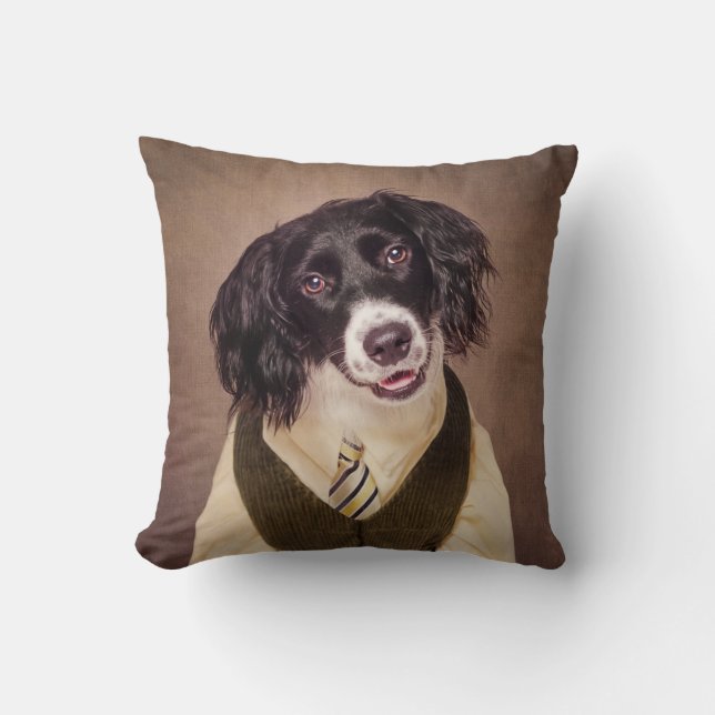 Shelter Pets Project - Cannonball Kussen (Voorkant)
