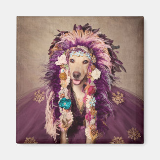 Shelter Pets Project - Catori Magneet