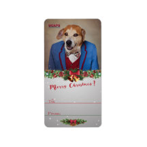 Shelter Pets Project - Choppers