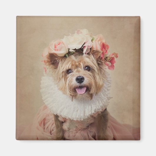 Shelter Pets Project - Cricket Magneet (Voorkant)