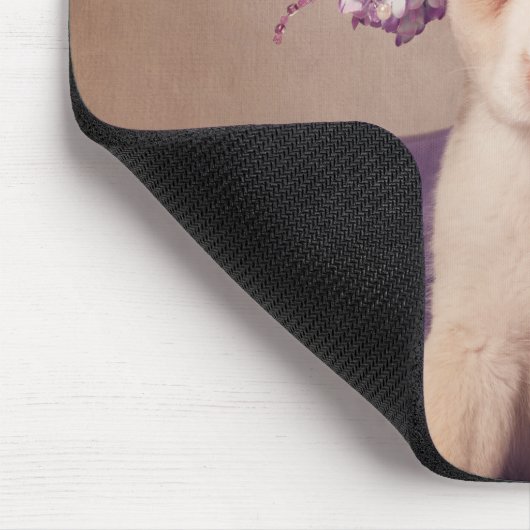 Shelter Pets Project - Fiona Muismat (Hoek)