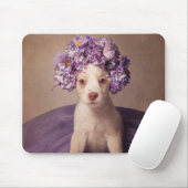 Shelter Pets Project - Fiona Muismat (Met muis)