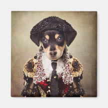 Shelter Pets Project - Josie