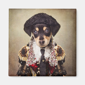 Shelter Pets Project - Josie Magneet