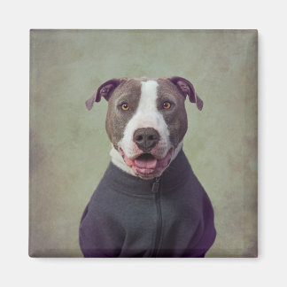 Shelter Pets Project - Majoor Good Boy Magneet