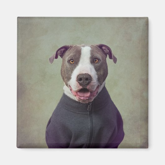 Shelter Pets Project - Majoor Good Boy Magneet (Voorkant)