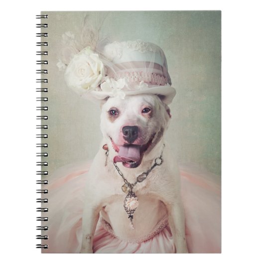 Shelter Pets Project - McKenzie Notitieboek (Voorkant)