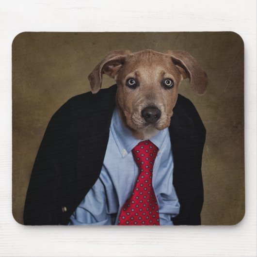 Shelter Pets Project - Mr Burns Muismat (Voorkant)