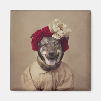 Shelter Pets Project - Ms. Smith Magneet