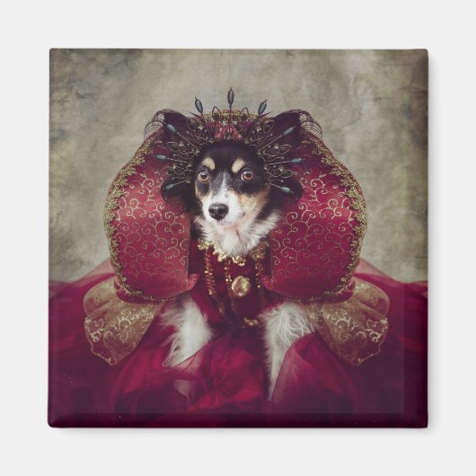 Shelter Pets Project - Peggy Sue Magneet (Voorkant)