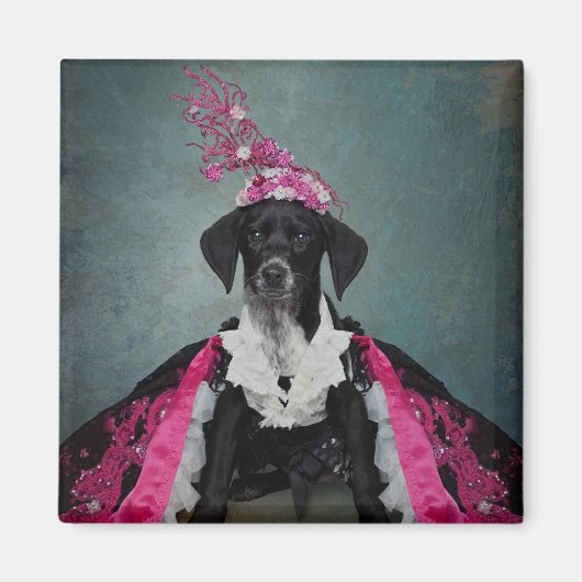 Shelter Pets Project - Pepper Magneet (Voorkant)