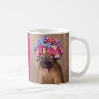 Shelter Pets Project - Pistachio Koffiemok