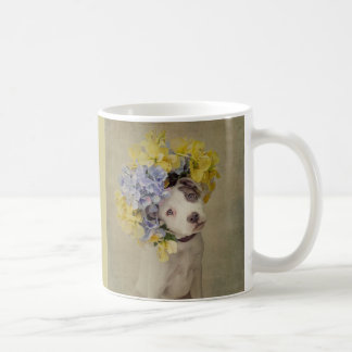 Shelter Pets Project - Rascal Koffiemok