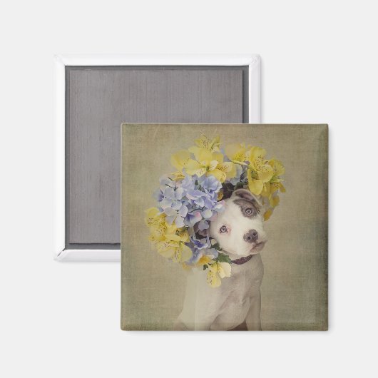 Shelter Pets Project - Rascal Magneet (Voorkant / Achterkant)