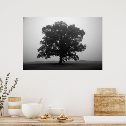 Shelter Poster (Keuken)