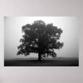 Shelter Poster (Voorkant)