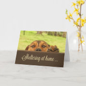 Sheltering At Home Support Kaart Corona-virus (Gele Bloem)