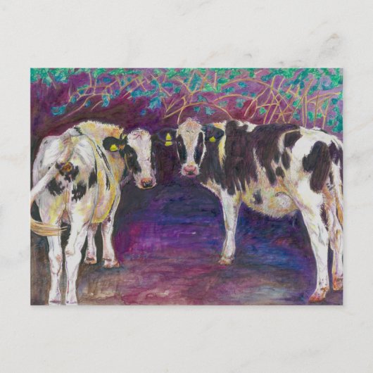 Sheltering cows 2011 briefkaart (Voorkant)