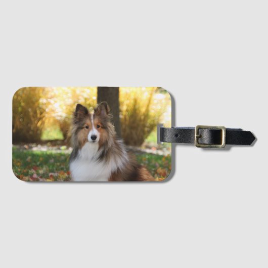 Sheltie Acryl Bagagelabel (Voorkant (horizontaal))