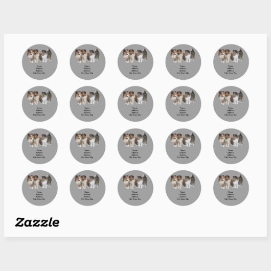 Sheltie adreslabel ronde sticker (Vel)