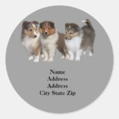 Sheltie adreslabel ronde sticker (Voorkant)