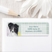 Sheltie Bath Bi Black Labels (Insitu)