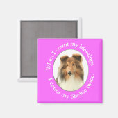 Sheltie Blessing Magnet (Voorkant / Achterkant)