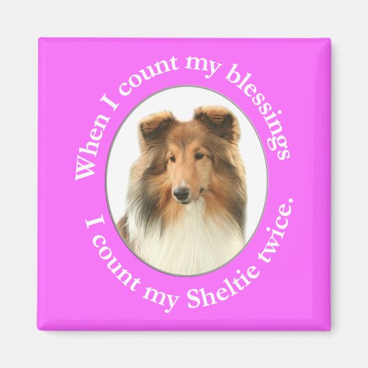 Sheltie Blessing Magnet (Voorkant)