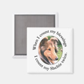 Sheltie Blessing Magnet (Voorkant / Achterkant)