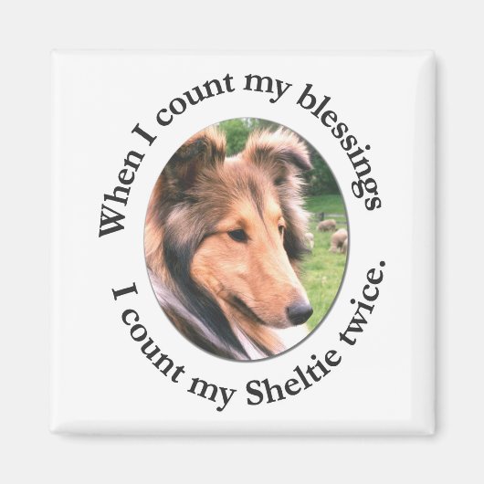 Sheltie Blessing Magnet (Voorkant)